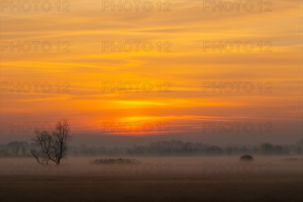 Sunrise at Federsee lake