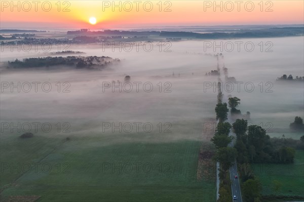 Morning atmosphere at Federsee lake
