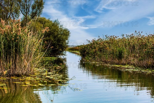 Natural paradise and national park Lake Scutari, the largest lake on the Balkan Peninsula between