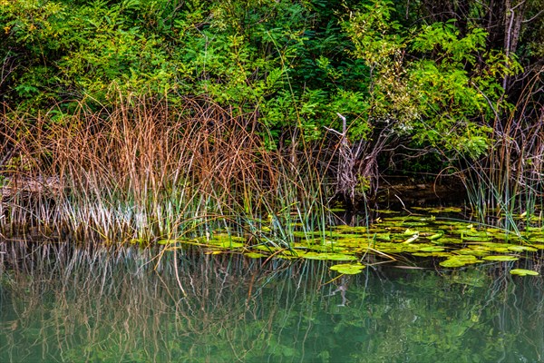 Natural paradise and national park Lake Scutari, the largest lake on the Balkan Peninsula between