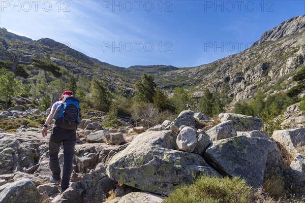 Woman hiking in the mountains, ascent to Lac de Nino, Corsica, France, Europe