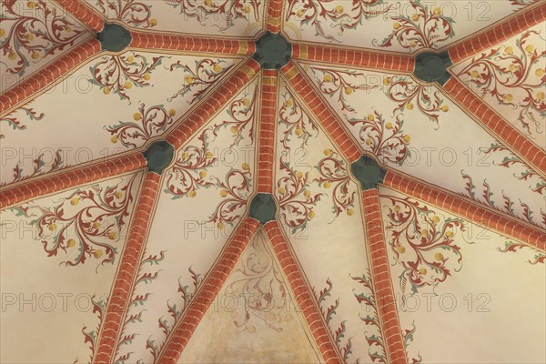 Ceiling of the Protestant Reformed Church in Krummhörn-Hinte, Germany, Europe