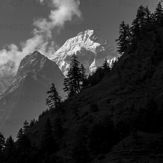 Lapuchung (5969 m) peak, with silhouettes of some trees in the foreground, seen from the way