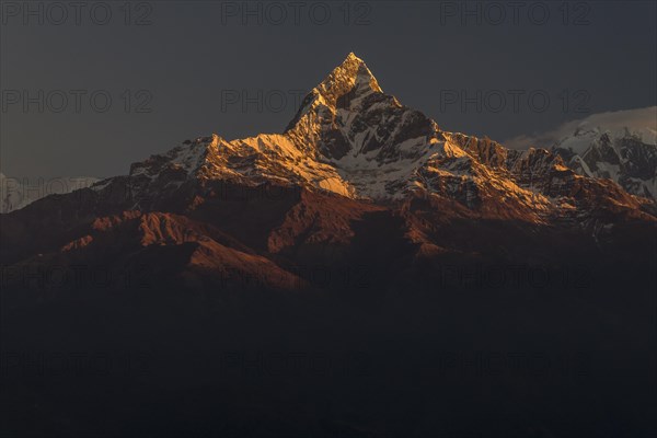 Machapuchare (6993m), Fishtail Mountain, the sacred peak in the Annapurna massif of the Himalayas,