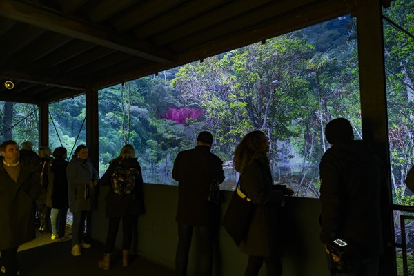 AMAZONIA - The Fascination of the Tropical Rainforest is a monumental work by Yadegar Asisi about