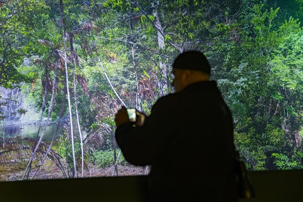 AMAZONIA - The Fascination of the Tropical Rainforest is a monumental work by Yadegar Asisi about