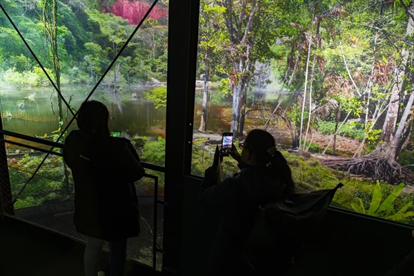 AMAZONIA - The Fascination of the Tropical Rainforest is a monumental work by Yadegar Asisi about