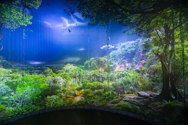 AMAZONIA - The Fascination of the Tropical Rainforest is a monumental work by Yadegar Asisi about