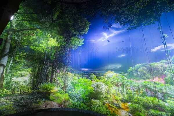 AMAZONIA - The Fascination of the Tropical Rainforest is a monumental work by Yadegar Asisi about