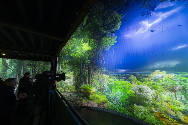 AMAZONIA - The Fascination of the Tropical Rainforest is a monumental work by Yadegar Asisi about