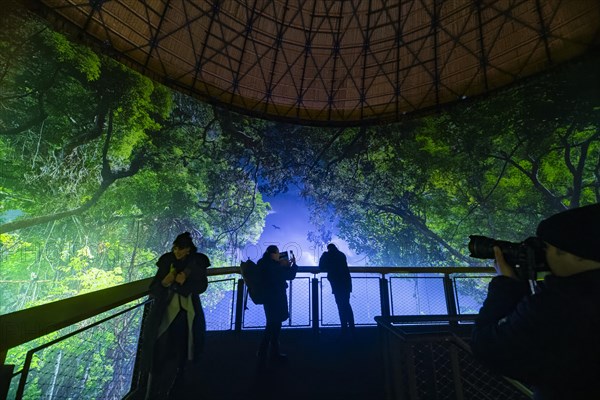 AMAZONIA - The Fascination of the Tropical Rainforest is a monumental work by Yadegar Asisi about