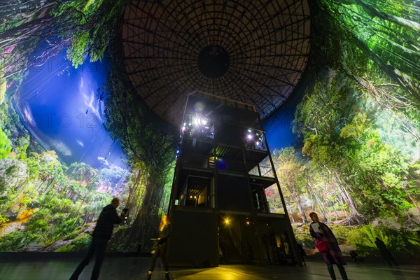 AMAZONIA - The Fascination of the Tropical Rainforest is a monumental work by Yadegar Asisi about