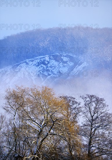 Snow-covered Wartenberg with fog in winter, Witten, Ruhr area, North Rhine-Westphalia, Germany,