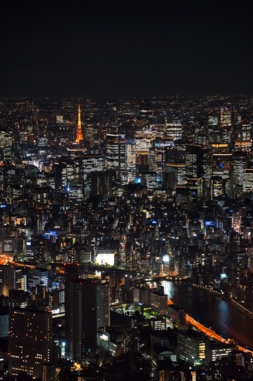 Aerial view over the city Tokyo Metropolis with its high rise, buildings, skyscrapers, Sumida River
