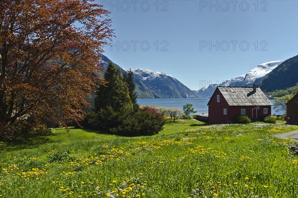 Landscape in Spring at the western side of Sörfjorden, (Odda, Hordaland, Norway), close to Belgen.
