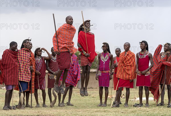 Maasai people preforming the traditional jumping dance in a Maasai village in Maasai Mara, Kenya,