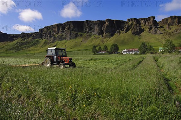 Haymaking at Foss, where the farming township nestles beneath basalt crags, southern Iceland