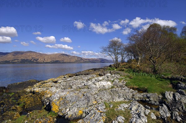 A fine autumnal day along Loch Linnhe near Fort William, with the distant Ardgour hills, Lochaber,