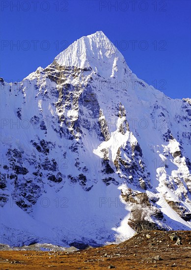 Wedge Peak from Pang Pema in the Kangchenjunga region of east Nepal