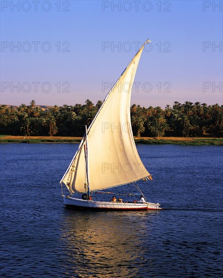 The traditional Nile sailing-boat, the felucca, sailing on the Nile near Luxor, Egypt, Africa