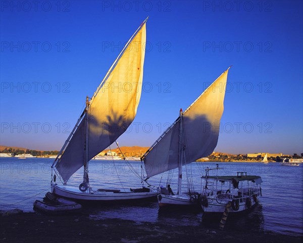 Evening light on the sails of two feluccas on the bank of the Nile opposite Luxor, Egypt Egypt,