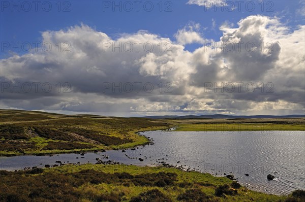 Felsen und Steine am Loch Farley | Exposed rocks and stones at Loch Farlary, near Golspie,
