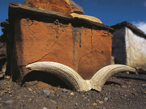 Argali or wild sheep horns left beside a Buddhist shrine or chorten at Jharkot in the Mustang