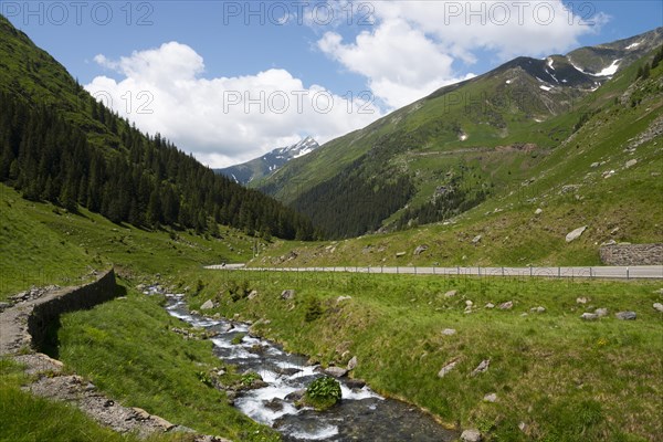 A mountain stream flows beside a road through an idyllic landscape, Capra River, mountain road,