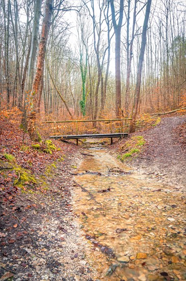 Small old wooden bridge over a stream in the Rautal valley in the forest, Jena, Thuringia, Germany,