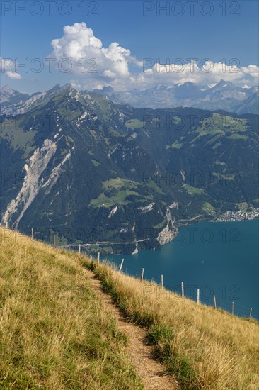 View from Niederbauen Kulm (1923m) to Bristenstock, Lake Lucerne, Canton Uri, Switzerland, Lake