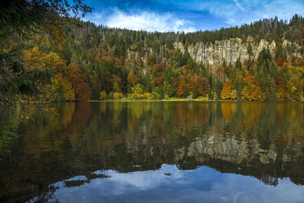 Lake and autumnal coloured forest, Feldsee, Feldberg, Black Forest, Baden-Wuerttemberg, Germany,