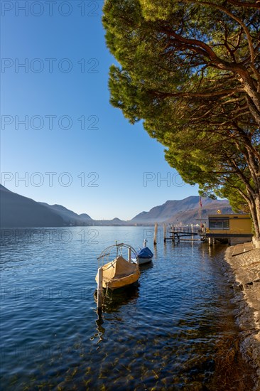 Beautiful Jetty and Old Fishing Boat with Trees on the Waterfront on Lake Lugano in a Sunny Day