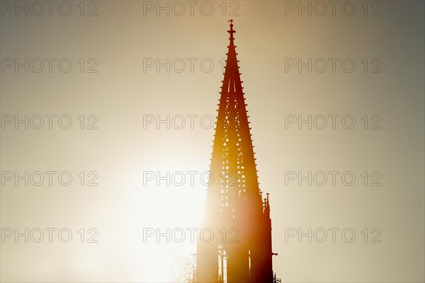Tower of Freiburg Minster, sunset, Freiburg im Breisgau, Black Forest, Baden-Wuerttemberg, Germany,