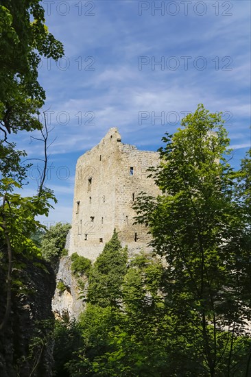 Ruin Reussenstein, ruin of a rock castle above Neidlingen, rock above the Neidlingen valley,