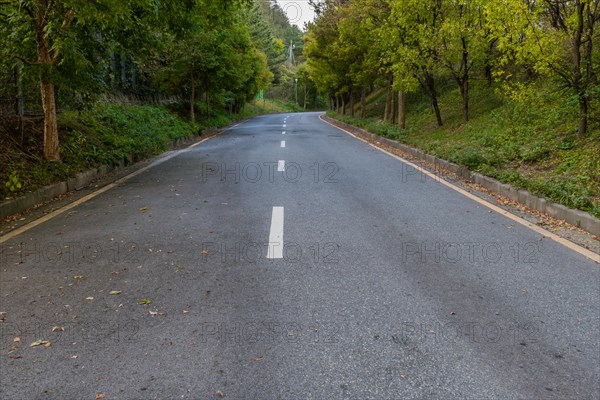 Rural two lane paved road lined with lush foliage in countryside with CCTV cameras in distance in