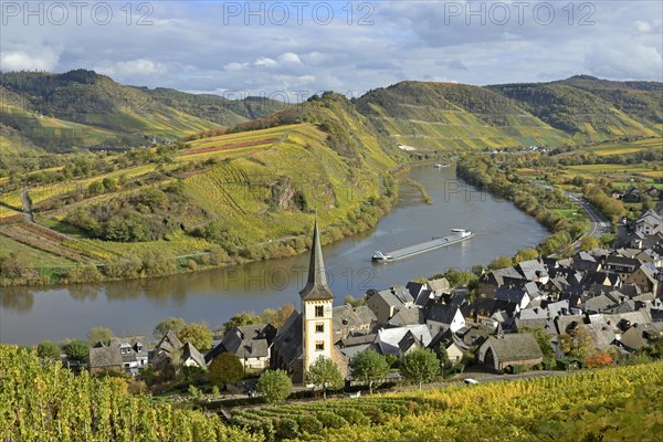 View over the wine village of Bremm am Calmont with St Laurentius Church, cargo ship on the