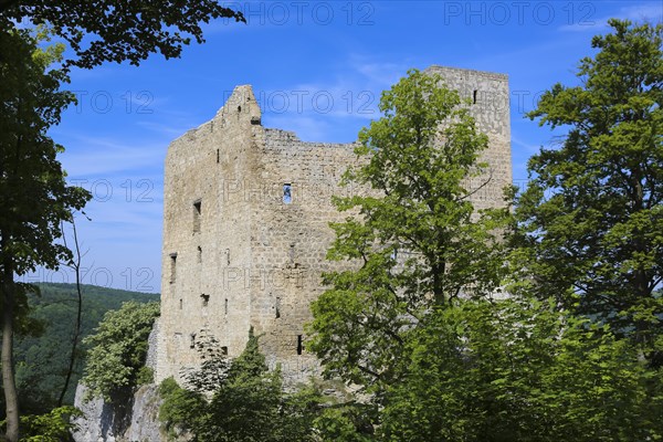 Ruin Reussenstein, ruin of a rock castle above Neidlingen, rock above the Neidlingen valley,