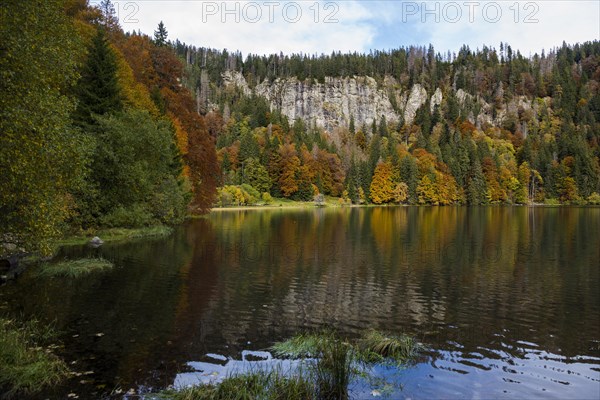 Lake and autumnal coloured forest, Feldsee, Feldberg, Black Forest, Baden-Wuerttemberg, Germany,