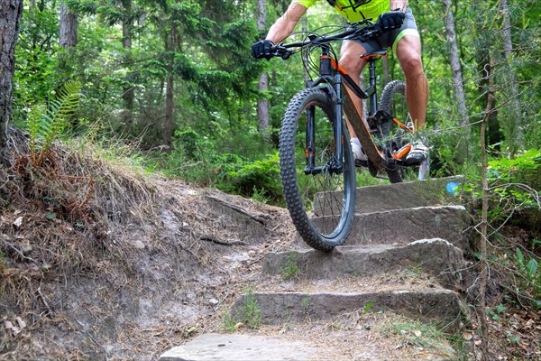 Mountain biker riding steps on a single trail near Weinbiet in the Palatinate Forest, Germany,