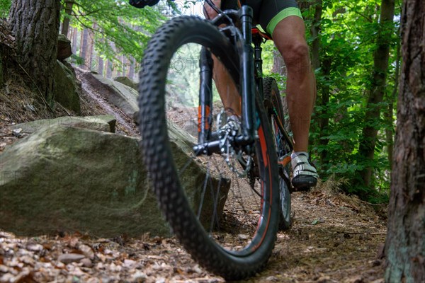 Mountain bikers on a descent in the Palatinate Forest near Weinbiet in the Palatinate Forest,