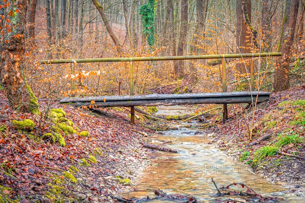 Small old wooden bridge over a stream in the Rautal valley in the forest, Jena, Thuringia, Germany,