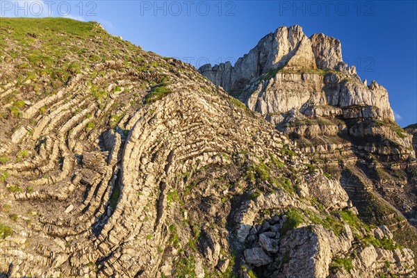 Rock formations, karst landscape in front of mountains, summer, evening light, Hoher Ifen, Allgaeu