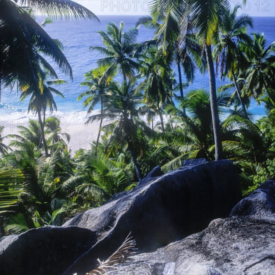 Seychelles, Fregate, clear blue water palm trees and white sandy beach Anse Victorin, Africa