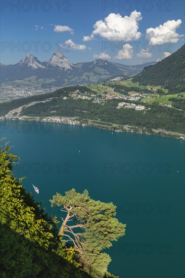 View from Seelisberg over Lake Lucerne Brunnen and the two Mythen, Canton Uri, Switzerland,