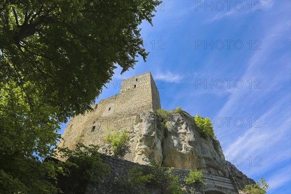 Ruin Reussenstein, ruin of a rock castle above Neidlingen, rock above the Neidlingen valley,