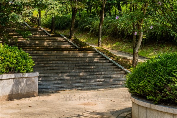Concrete stairs next to disabled access pathway leading into woodland park on sunny afternoon in
