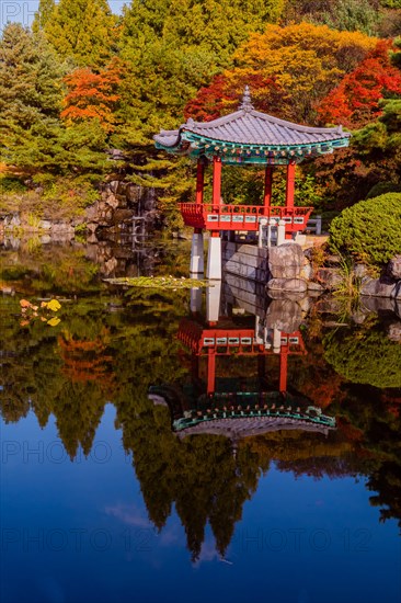 Beautiful oriental gazebo with terracotta tile roof at edge of man made pond with small waterfall