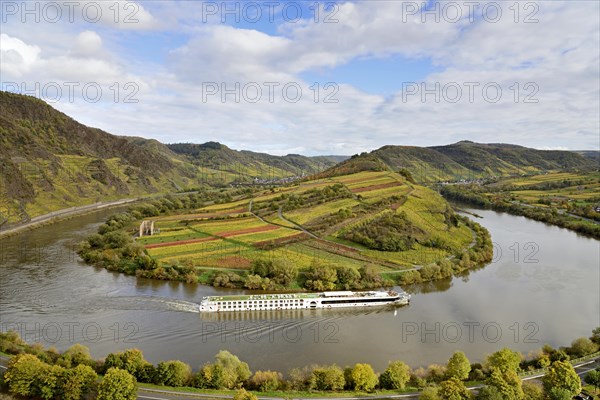 River cruise ship passes the Moselle bend near Bremm am Calmont, Moselle, Rhineland-Palatinate,