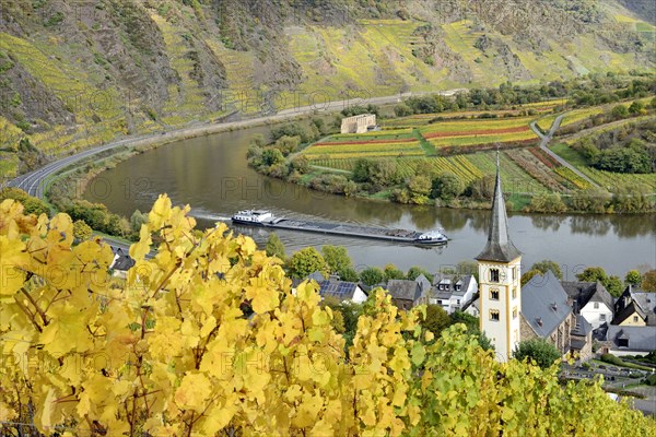 View over the wine village of Bremm am Calmont with the St Laurentius church and the ruins of the