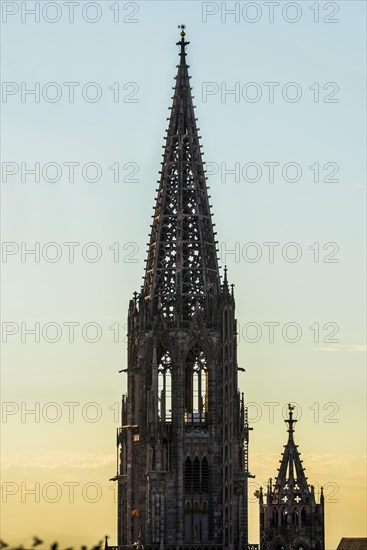 Tower of Freiburg Minster, sunset, Freiburg im Breisgau, Black Forest, Baden-Wuerttemberg, Germany,
